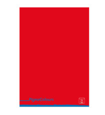 Maxiquaderno Pigna Colours - A4 - 1 rigo - 42 fogli - 80 gr - Pigna