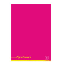Maxiquaderno Pigna Colours - A4 - 1 rigo - 42 fogli - 80 gr - Pigna