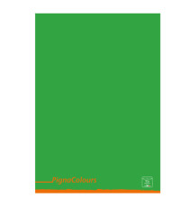 Maxiquaderno Pigna Colours - A4 - 1 rigo - 42 fogli - 80 gr - Pigna