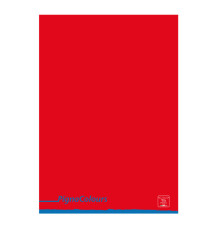Maxiquaderno Pigna Colours - A4 - 1 rigo - 42 fogli - 80 gr - Pigna
