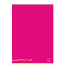 Maxiquaderno Pigna Colours - A4 - 5 mm - c/margine - 42 fogli - 80 gr - Pigna
