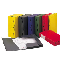 Scatola archivio Project - dorso 12 cm - 25 x 35 cm - giallo - Esselte