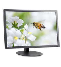 [A- ]Monitor Lenovo ThinkVision T2454p 60,96 cm (24) WUXGA 7ms