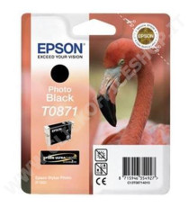 ORIGINALE EPSON T0870 OTTIMIZZATORE LUCIDO C13T08704010 PER EPSON STYLUS PHOTO R1900 TWIN PACK 11,4MLX2