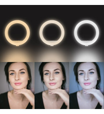 ASTA SUPPORTO SELFIE LINQ ZP9006 CON RING LIGHT - LUCE LED AD ANELLO 6" 10W SMARTPHONE TELECOMANDO LUCE CALDA,FREDDA,BIANCA