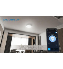 PLAFONIERA SMART 18W WIFI RGB+CCT (3000K-6500K) 1300 LUMEN D340*H80mm COMPATIBILE CON ALEXA E GOOGLE ASSISTANT - AIGOSTAR PLAFONIERA SMART 18W WIFI RGB+CCT (3000K-6500K) 1300 LUMEN D340*H80mm COMPATIBILE CON ALEXA E GOOGLE ASSISTANT - AIGOSTAR