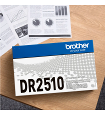 Brother DR-2510 drum tamburo originale per Brother MFC-L2800,L2835,L2860,DCP-L2660,HL-L2445 DR2510 capacità 15.000 pagine Brother DR-2510 drum tamburo originale per Brother MFC-L2800,L2835,L2860,DCP-L2660,HL-L2445 DR2510 capacità 15.000 pagine
