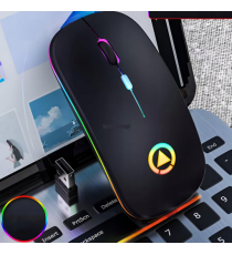 Mouse wireless professionale MR12 nero con luci RGB - ergonomico ottico 4 tasti - wifi 2,4g e Bluetooth 5.0 - dpi 1600 10mt