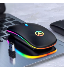 Mouse wireless professionale MR12 nero con luci RGB - ergonomico ottico 4 tasti - wifi 2,4g e Bluetooth 5.0 - dpi 1600 10mt