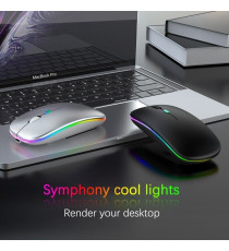 Mouse wireless professionale MR12 nero con luci RGB - ergonomico ottico 4 tasti - wifi 2,4g e Bluetooth 5.0 - dpi 1600 10mt
