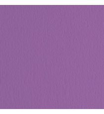 Cartoncino Elle Erre - 70x100cm - 220gr - viola 104 - Fabriano - blister 10 fogli Cartoncino Elle Erre - 70x100cm - 220gr - viola 104 - Fabriano - blister 10 fogli