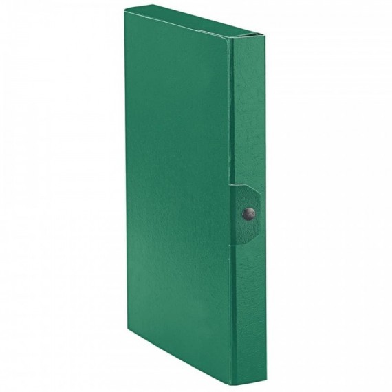 Cartelle portaprogetti Esselte C24 EUROBOX dorso 4 cm presspan biverniciato verde - 390324180