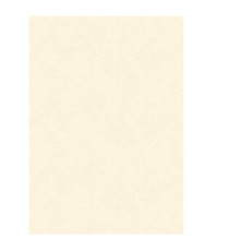 Diplomi in pergamena - stampa offset - A3 - 160 gr - neutro avorio - Kartos - conf. 10 pezzi Diplomi in pergamena - stampa offset - A3 - 160 gr - neutro avorio - Kartos - conf. 10 pezzi