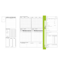 Cartellina matricolare - con vano portadocumenti - 32,5 x 25,5 cm - Data Ufficio