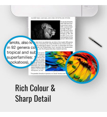 Pack Compatibile per Epson Expression HOME XP5150 Nero