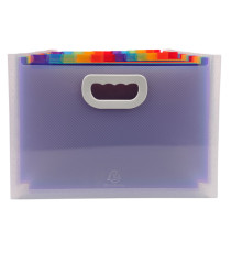 Classificatore con maniglia Crystal - 24 tasche - 33 x 23.5 x 25 cm - PP - Exacompta