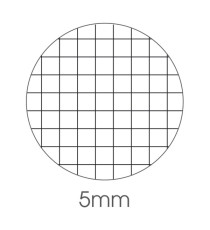 Blocco note Derby - 5mm - 80 x 120mm - 60gr - 70 fogli - BM