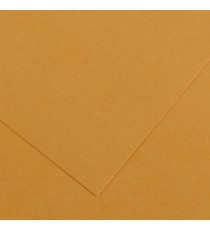 Foglio Colorline - 70x100 cm - 220 gr - cuoio - Canson Foglio Colorline - 70x100 cm - 220 gr - cuoio - Canson