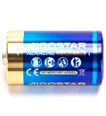 Batteria alcalina torcia D LR20 1.5V 2pz alta qualità, di grande durata - Senza mercurio e rispettoso dell'ambiente