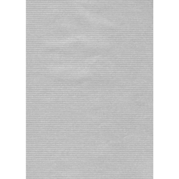 Carta regalo in fogli Rex-Sadoch formato 70x100 cm - conf. 10 pezzi - argento - 198 -16