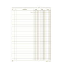 Schede dare/avere/saldo - 24 x 17 cm - verde - Edipro - conf. 100 pezzi