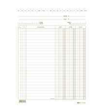 Schede dare/avere/saldo - 24 x 17 cm - verde - Edipro - conf. 100 pezzi